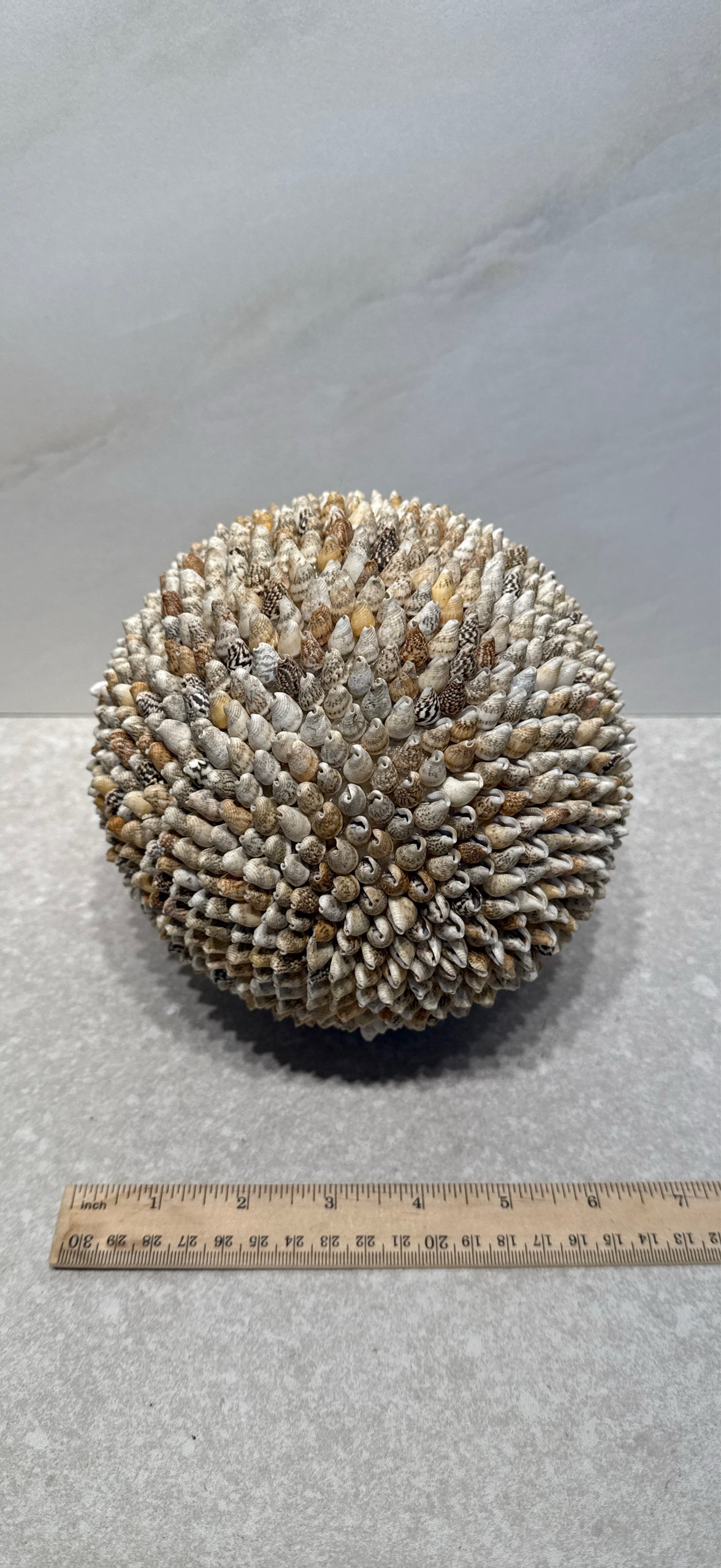 Shell Ball
