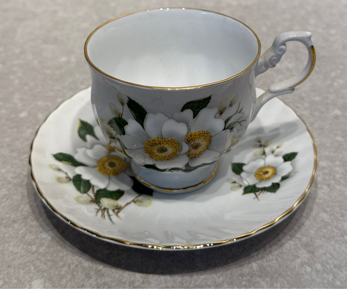 Cup And Saucer