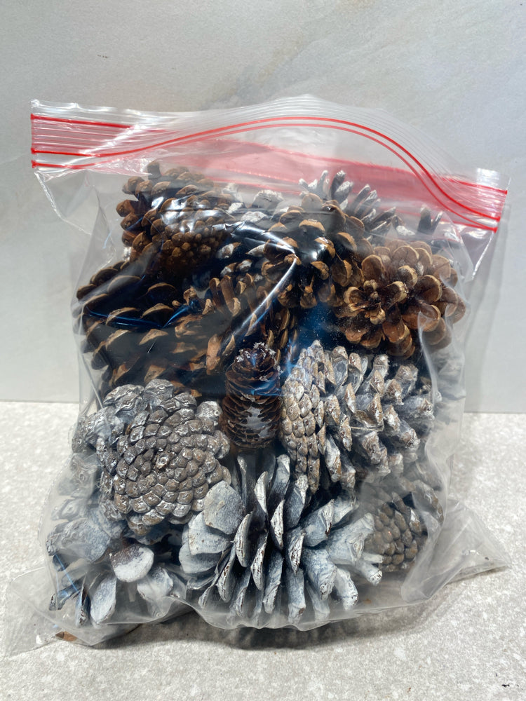 Pinecones