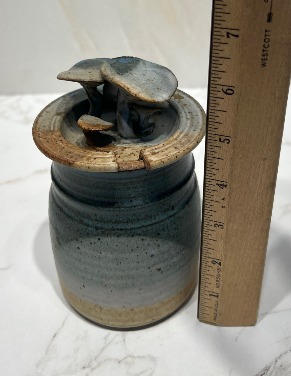 Mushroom Covered Jar