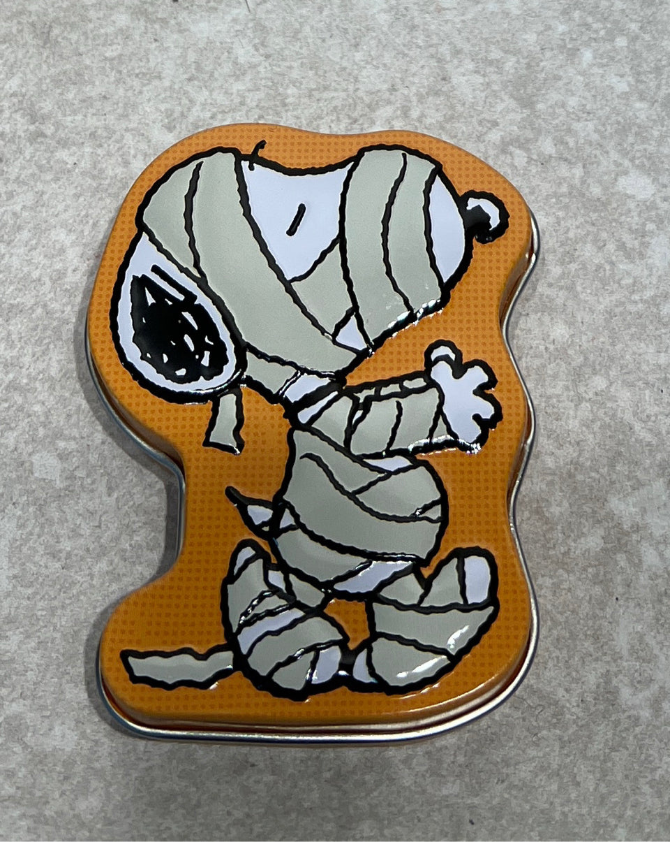Snoopy Tin