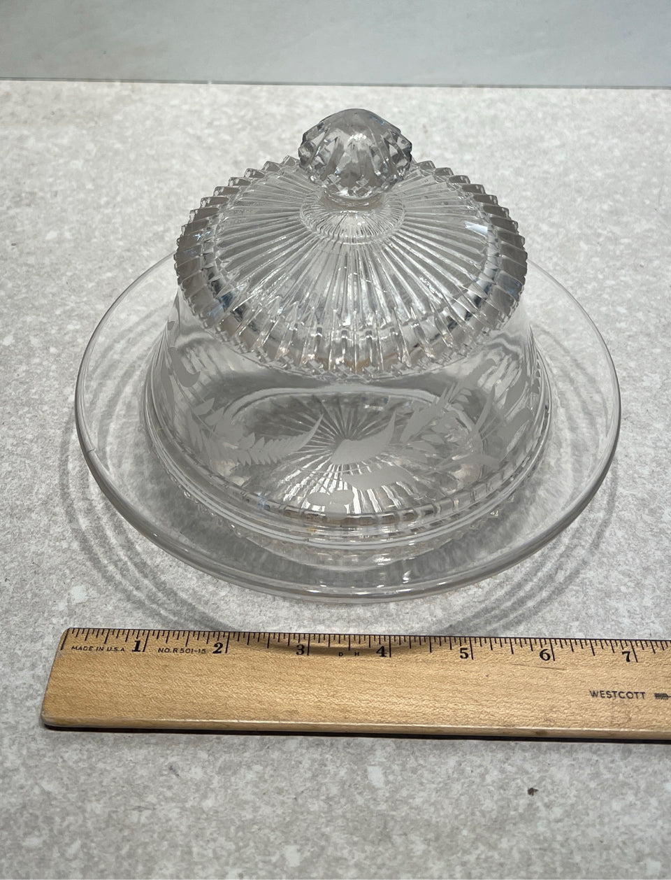 Covered Dish