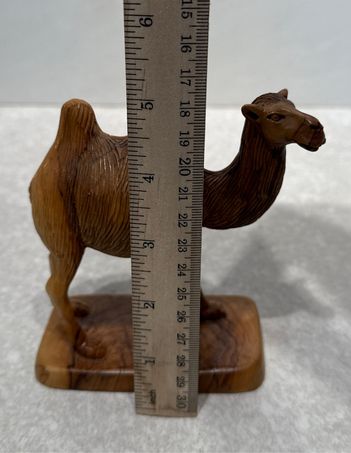 Camel