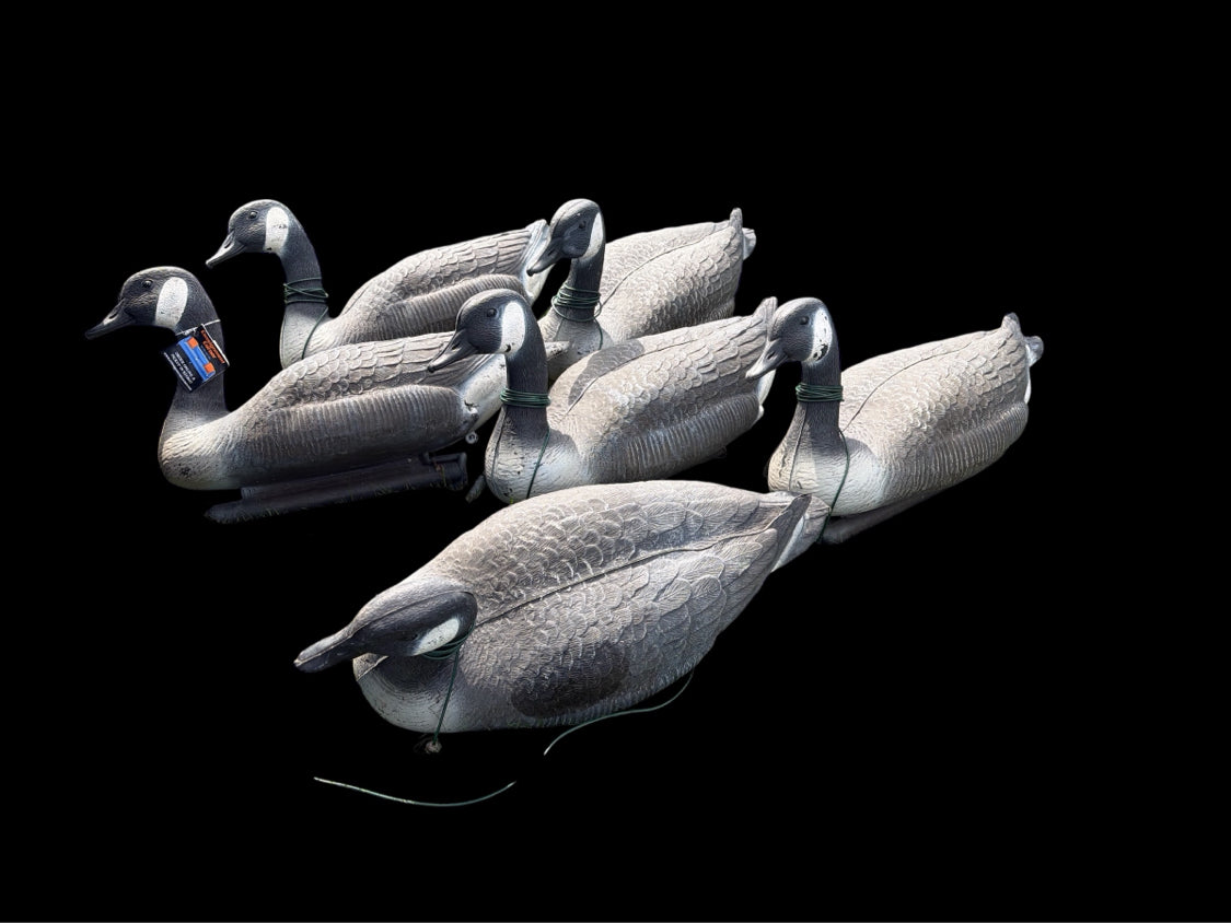 Set of 6 Geese Decoys