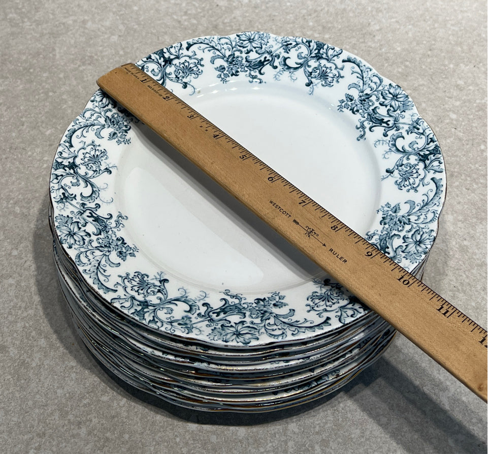 Set of 10 John Maddock Meredith Plates