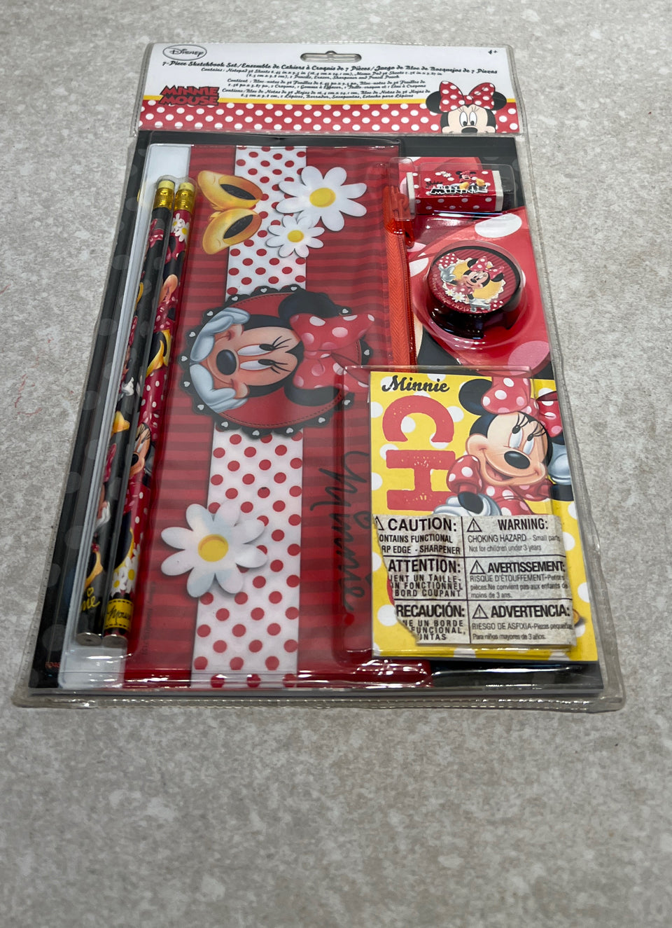 Minnie Sketchbook Set