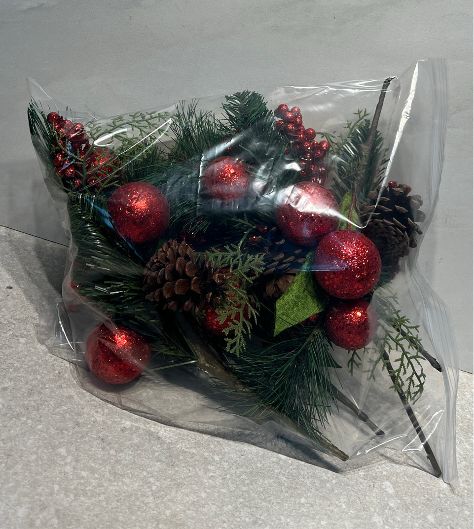 Bag Of Christmas Pics