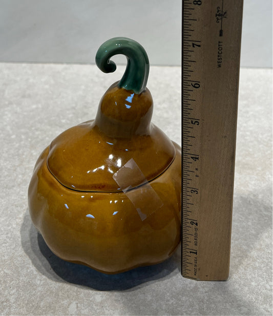 Williams Sonoma Covered Gourd