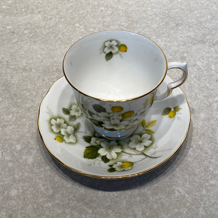 Cup And Saucer