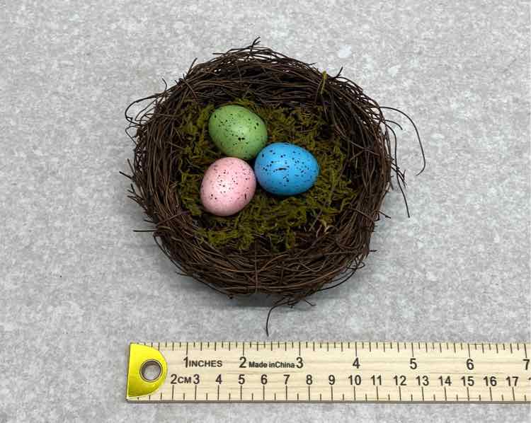 Eggs on Nest