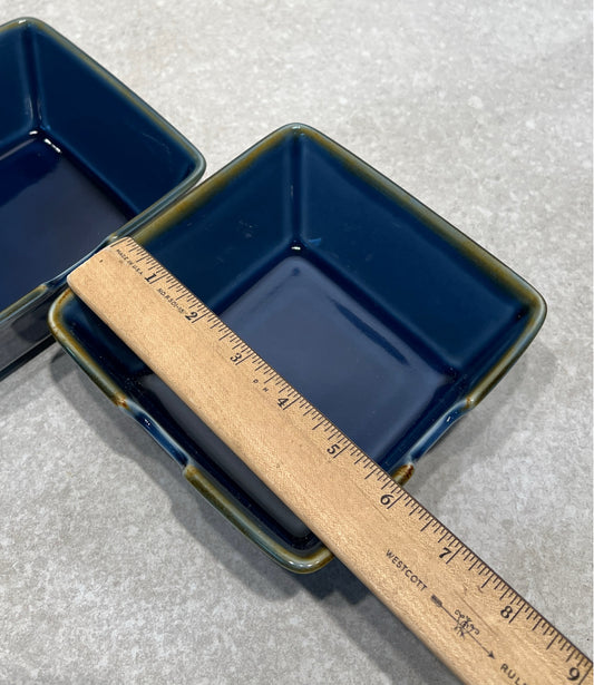 Set of 2 Pottery Barn Bowls