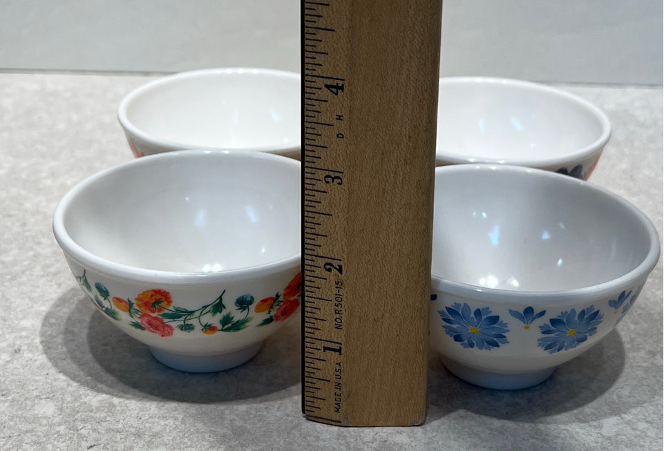 Set of 4 Pioneer Woman Bowls