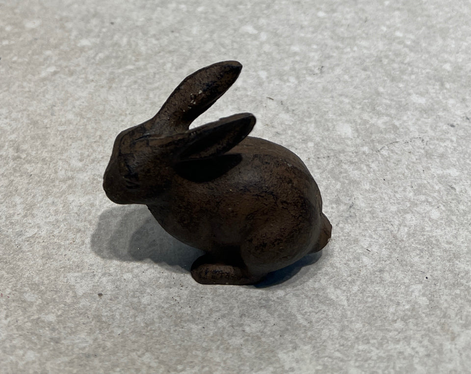 Iron Bunny