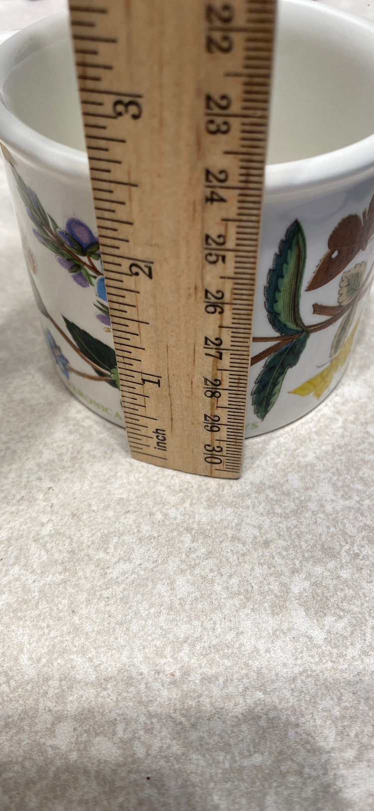 Portmeirion Cup and Saucer