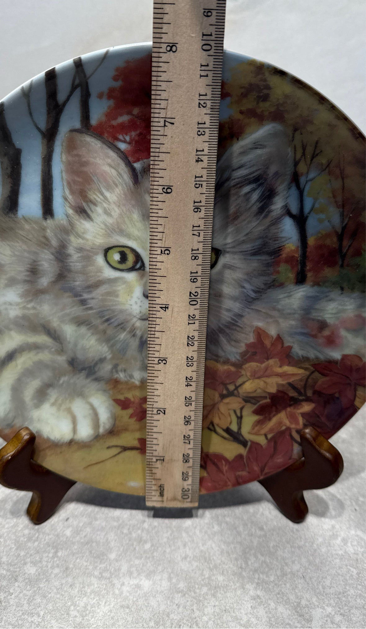 Decorativecat Plate