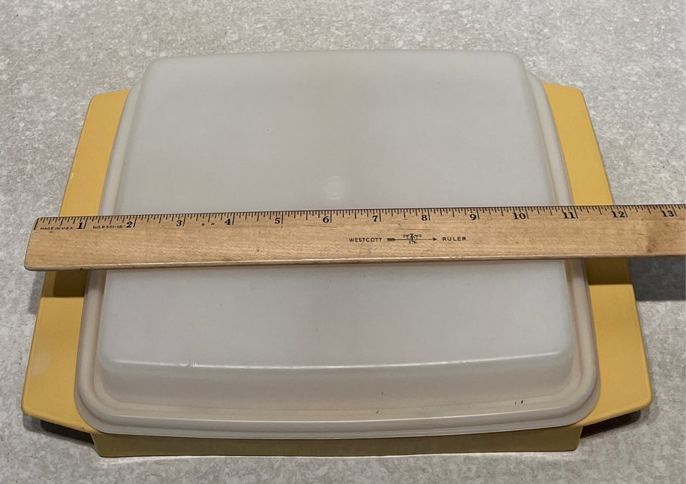 Tupperware Egg Dish