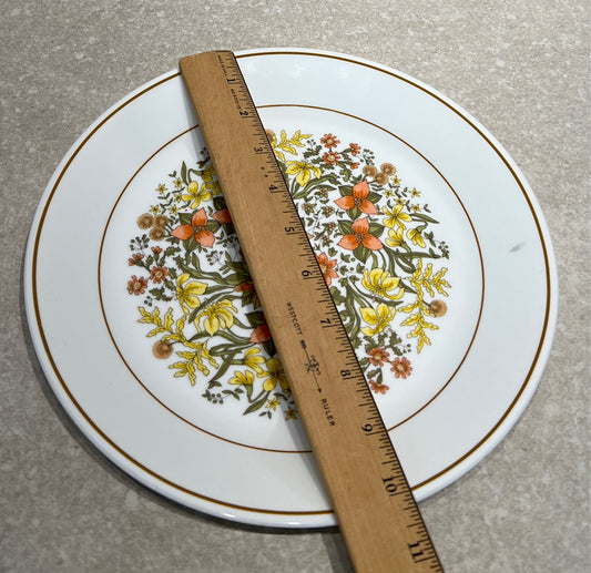 Dinner Plate
