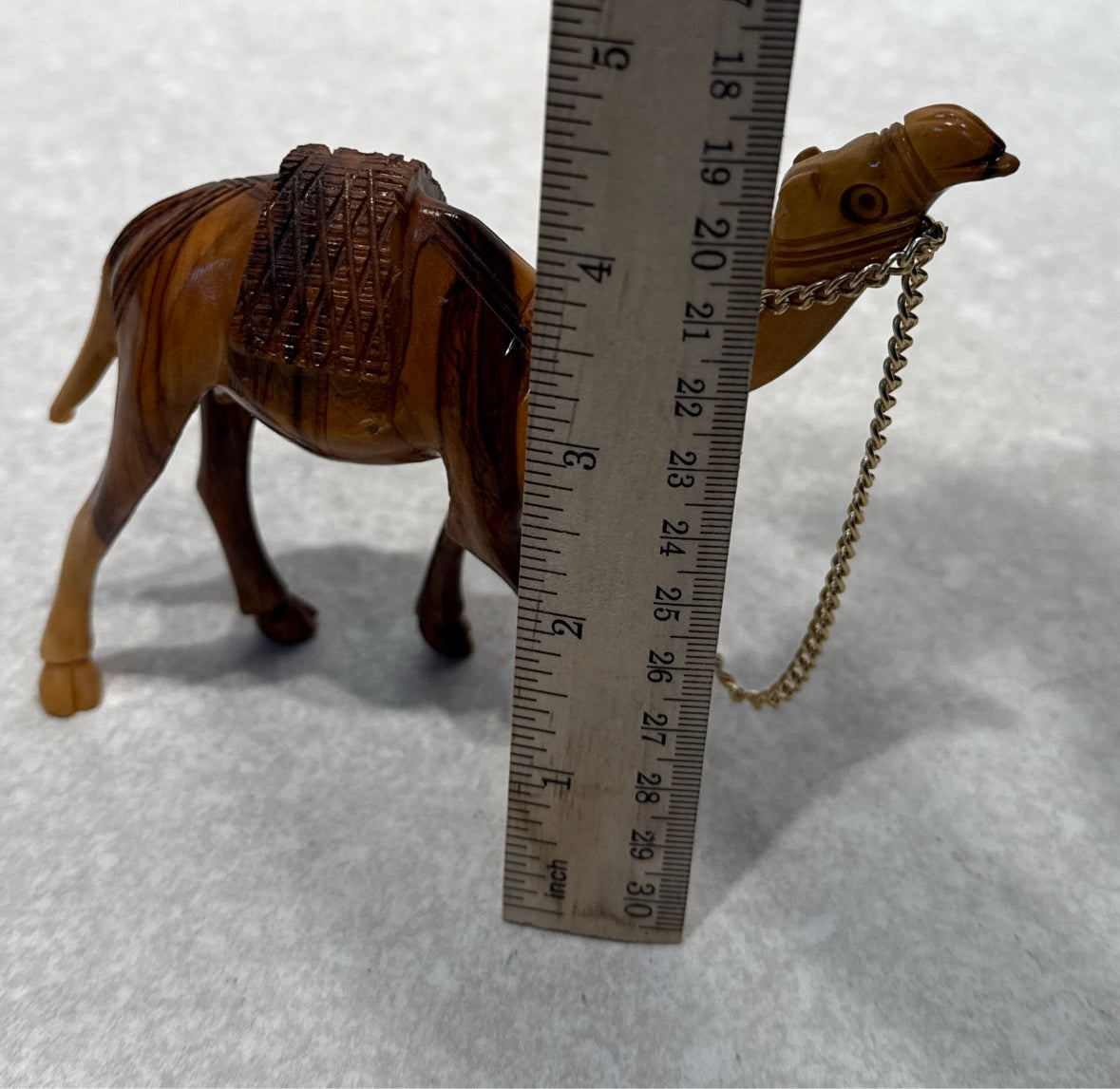 Camel