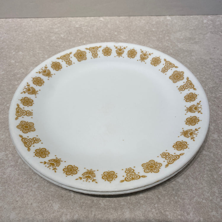 Pair of Corelle Plates