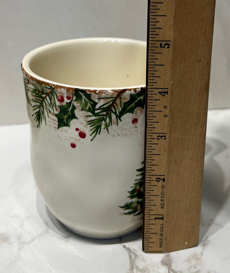 Set of 4 Pier 1 Mugs