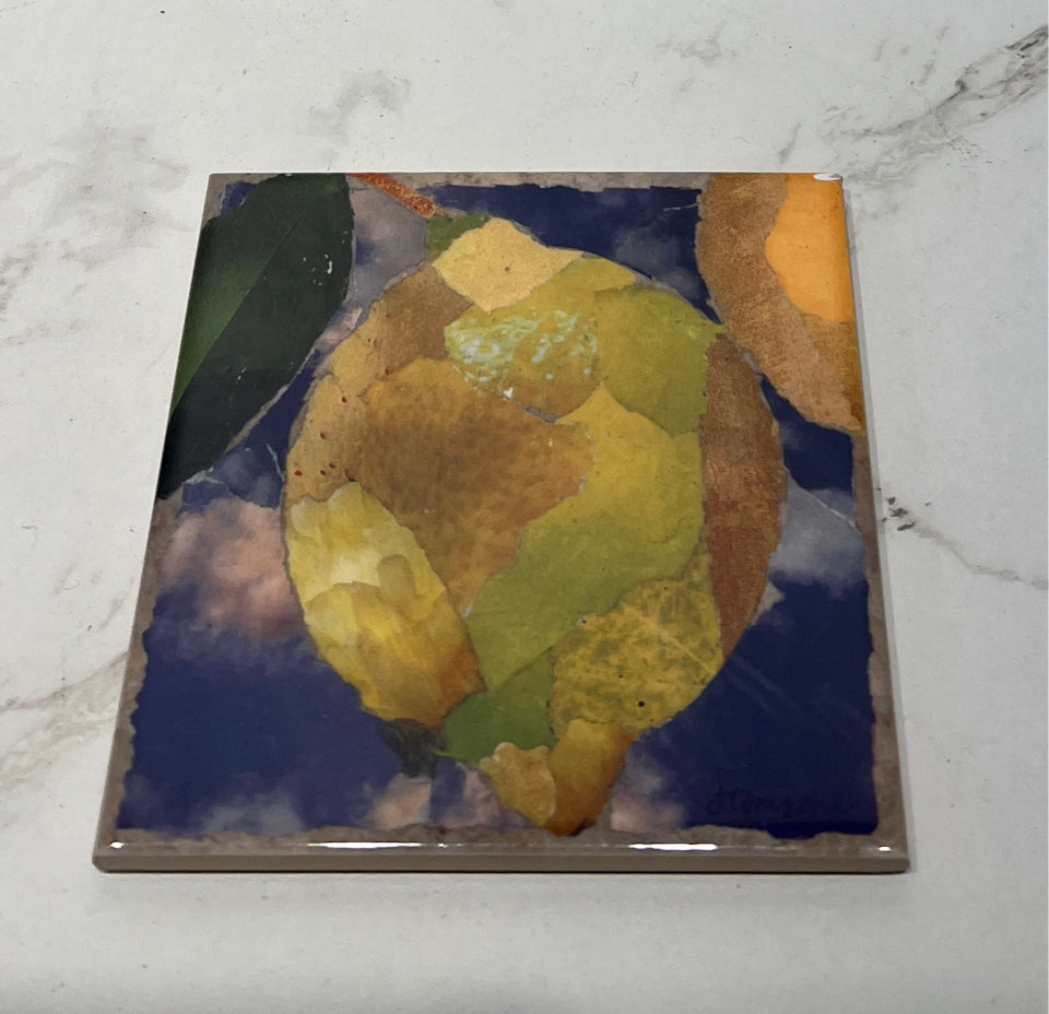 Joann Tomsche Tile