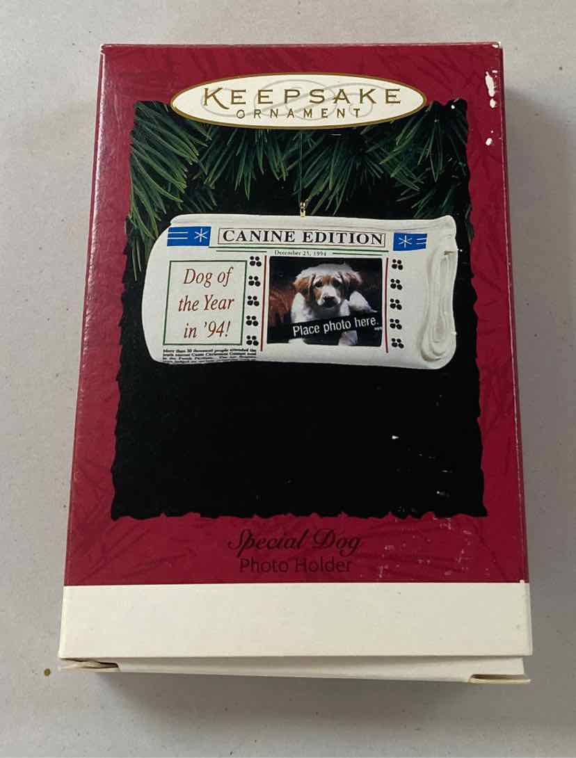 Hallmark Ornament