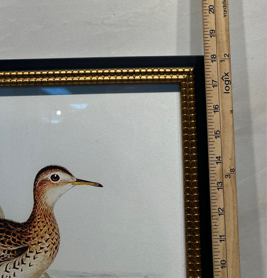 Duck Wall Decor