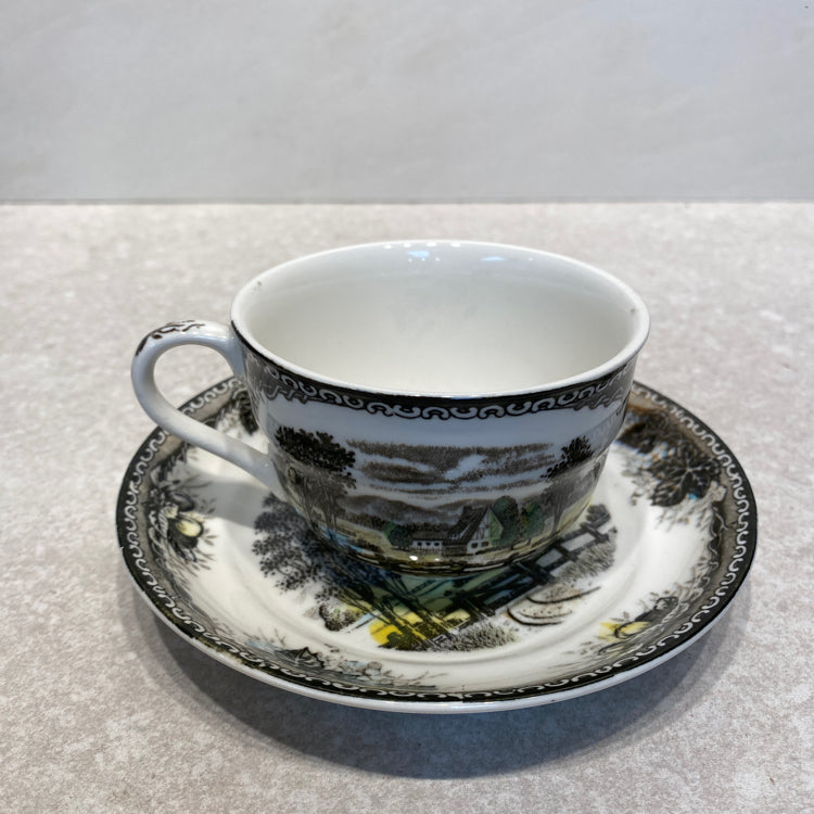 Spring Valley Cup and Saucer