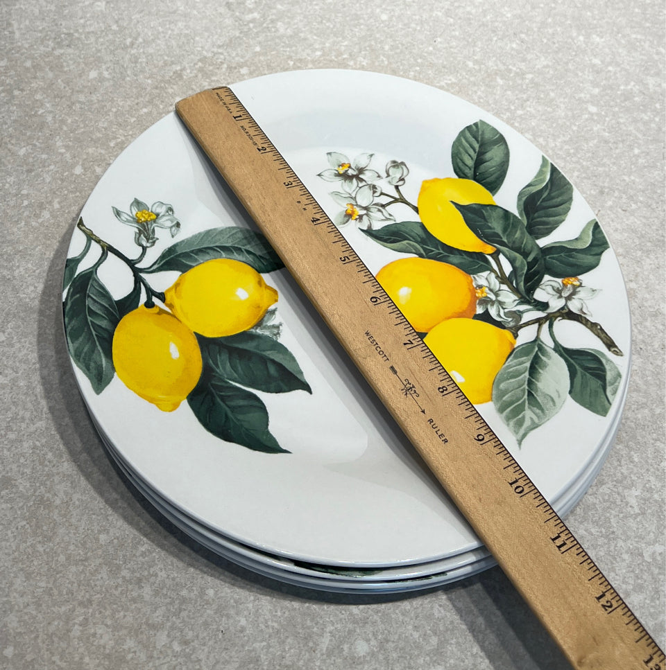 Set of 4 Dinner Plates