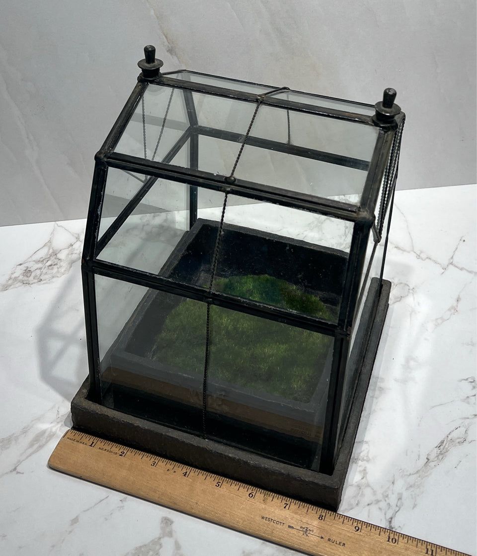 Terrarium