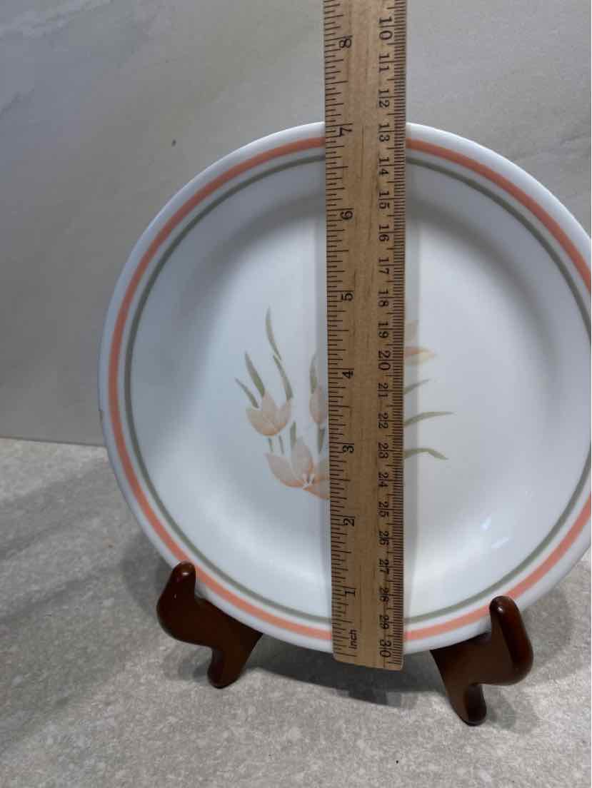 Set of 11 Corelle Plates