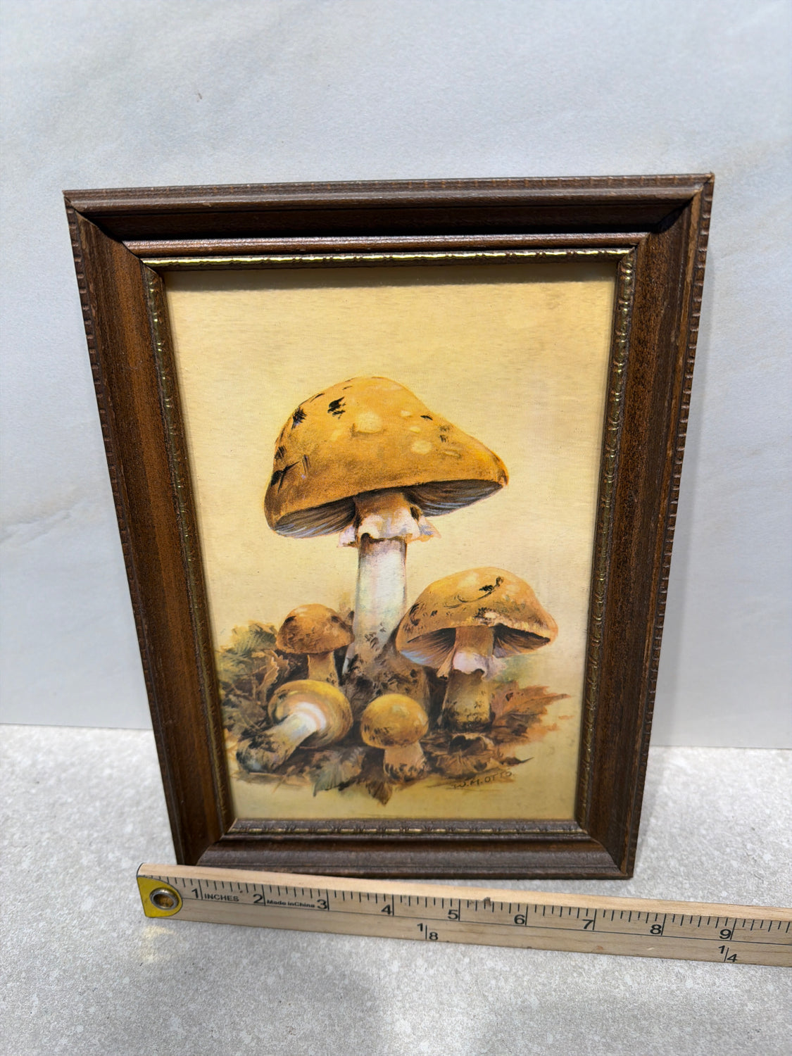 Framed Art