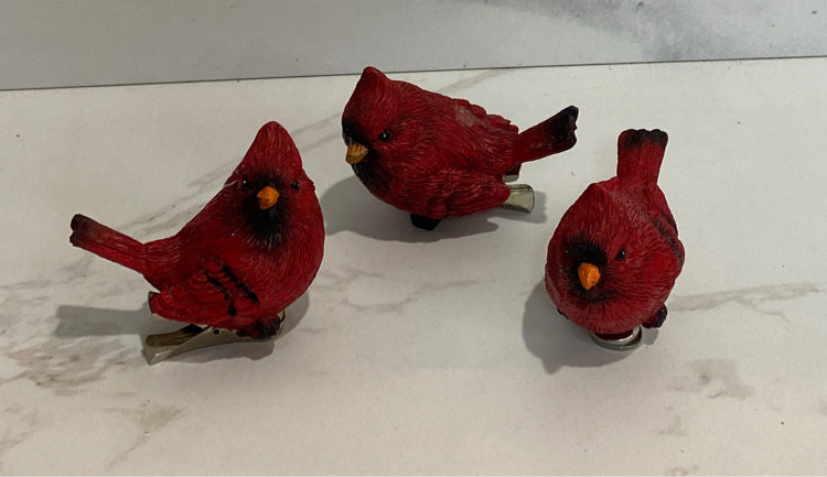 Bird Cips