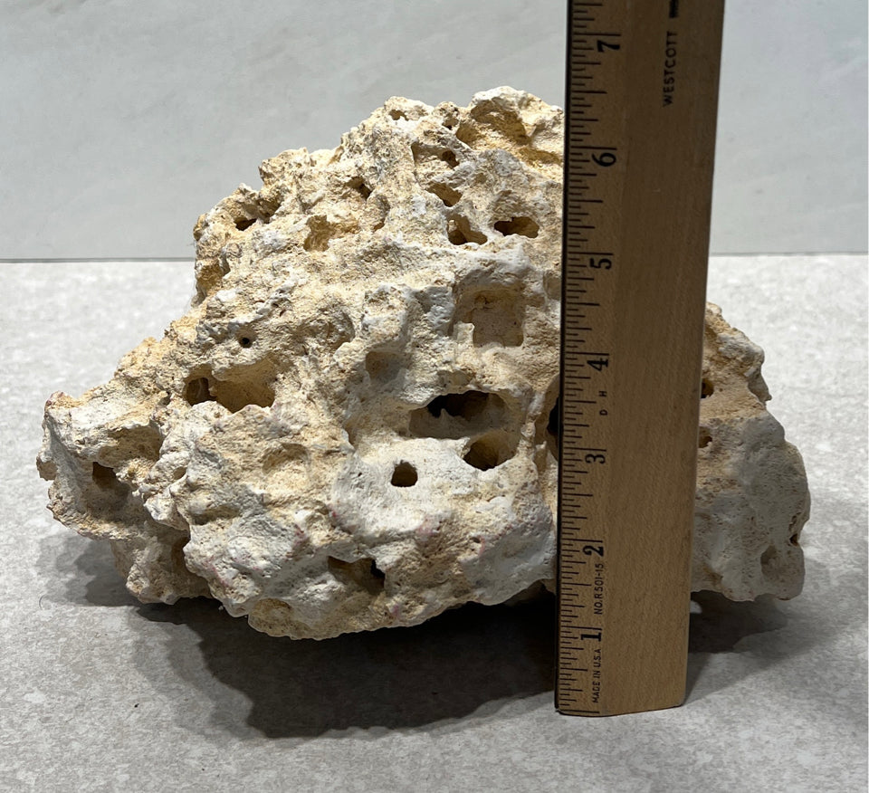 Coral