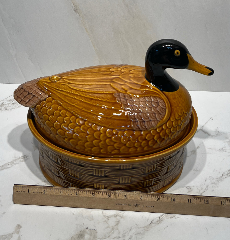 Duck on Nest