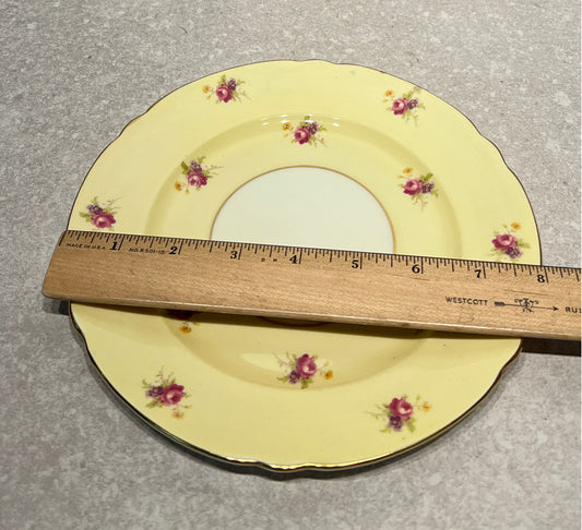 Shelley Plate