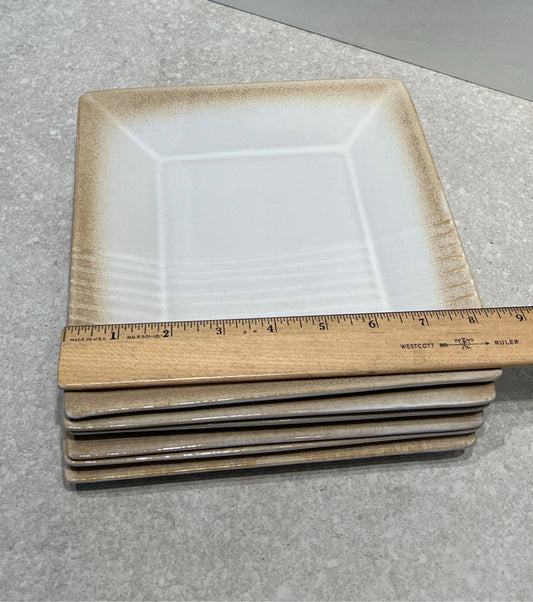 Set of 6 Pier 1 Plates