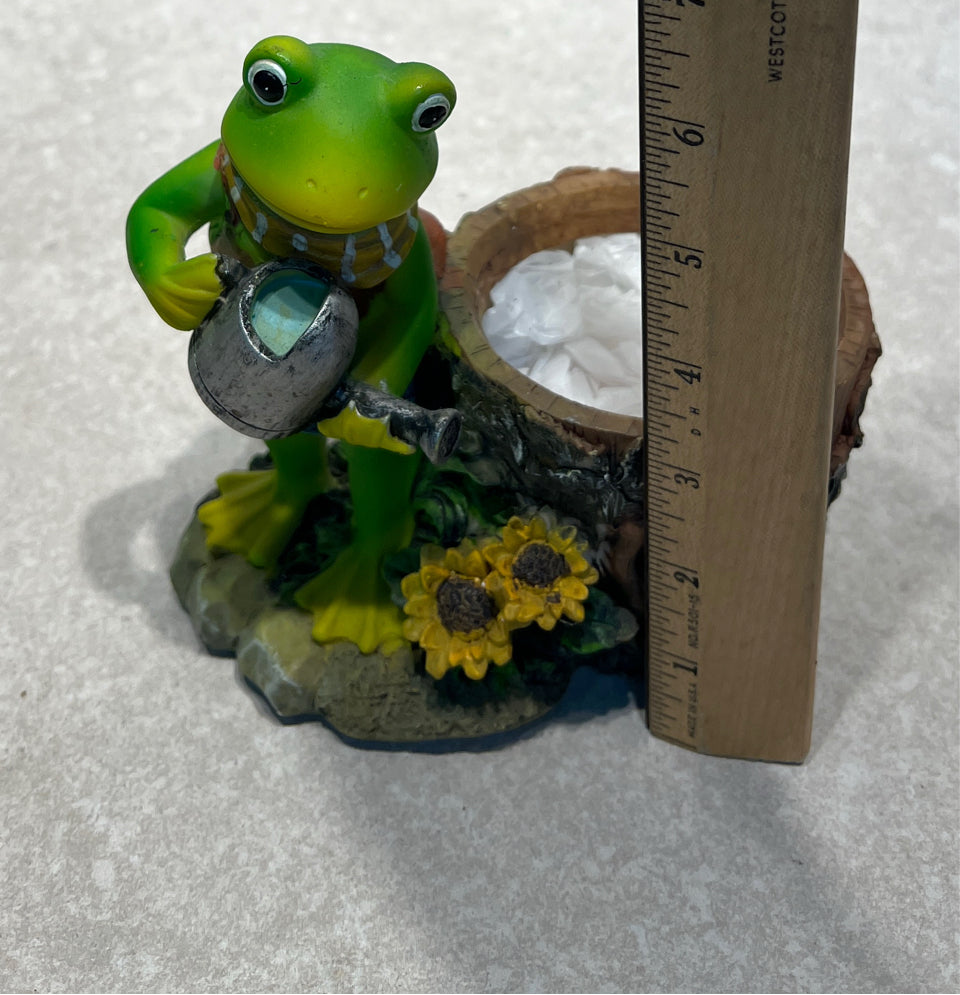 Frog Planter