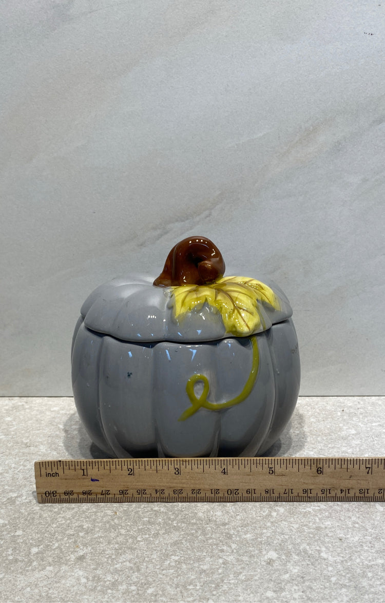 Covered Pumpkin