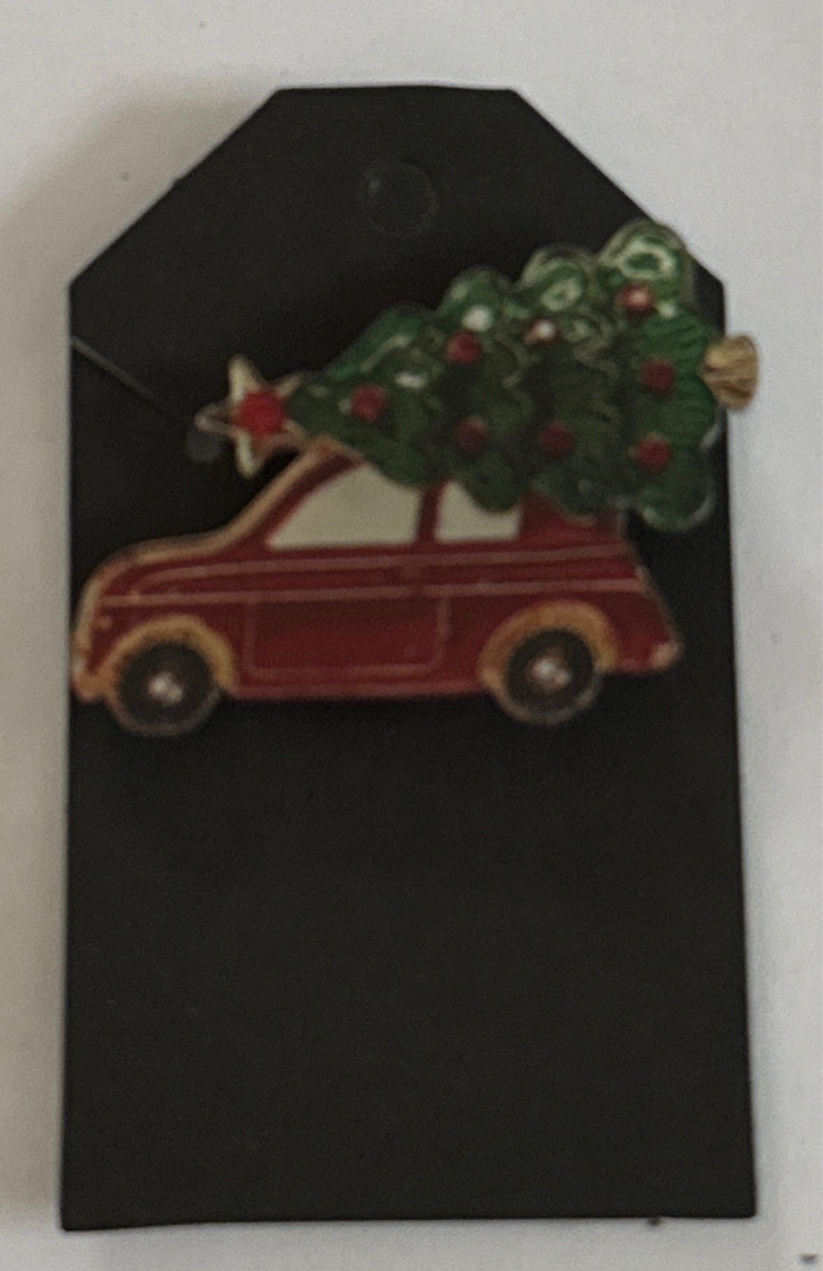 Pin