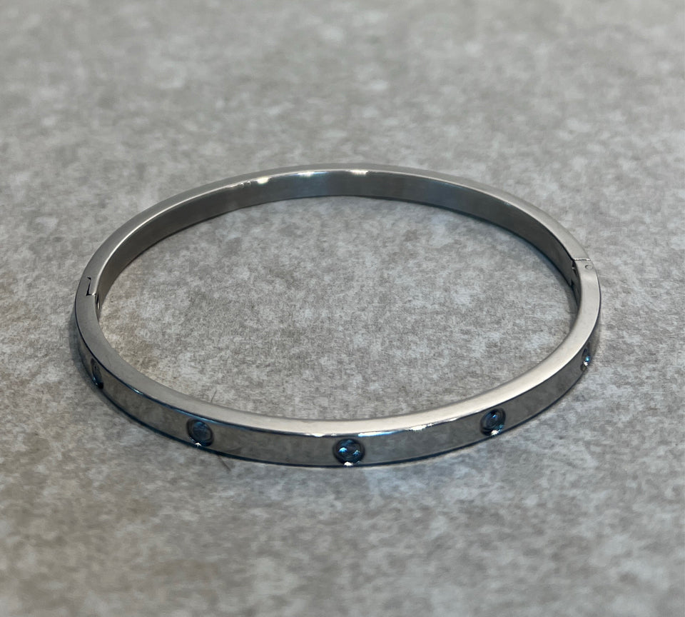 Stainless Steel Bracelet