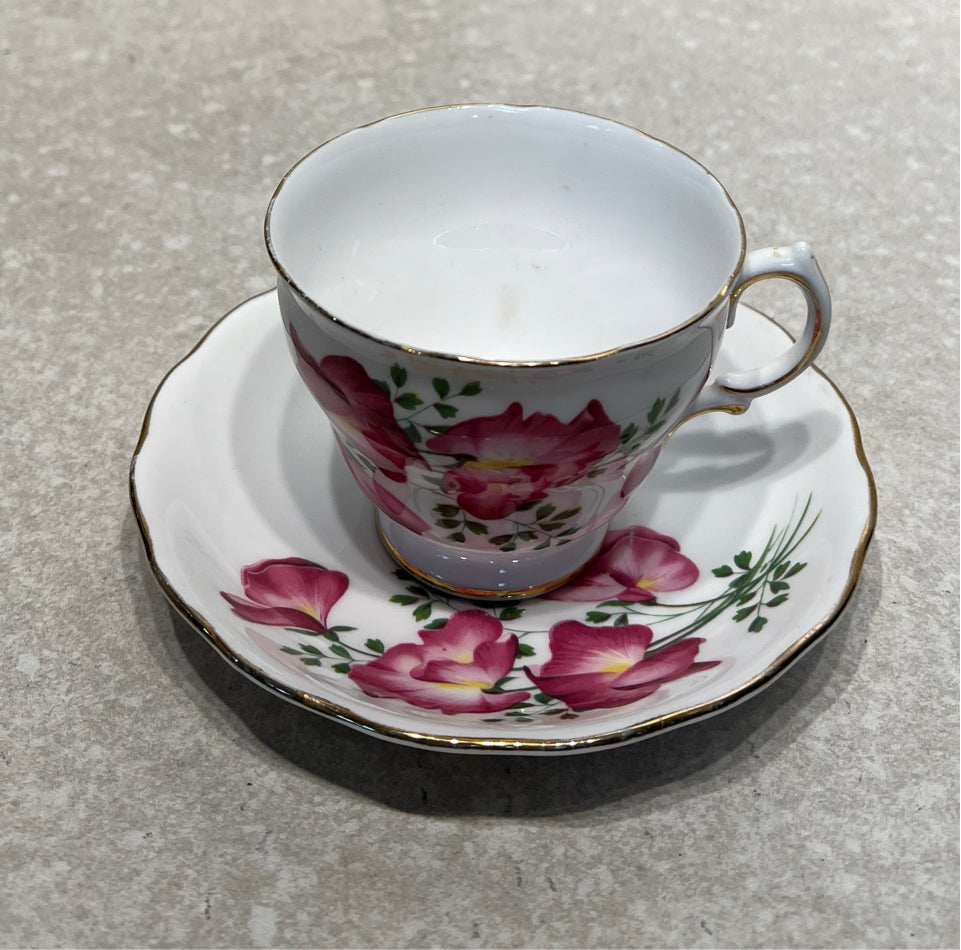 Cup and Saucer
