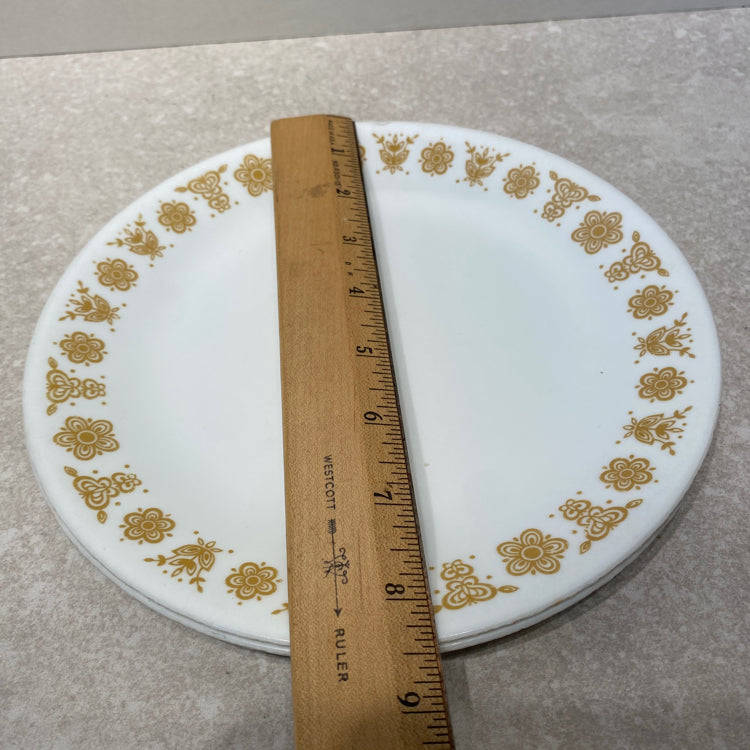 Pair of Corelle Plates