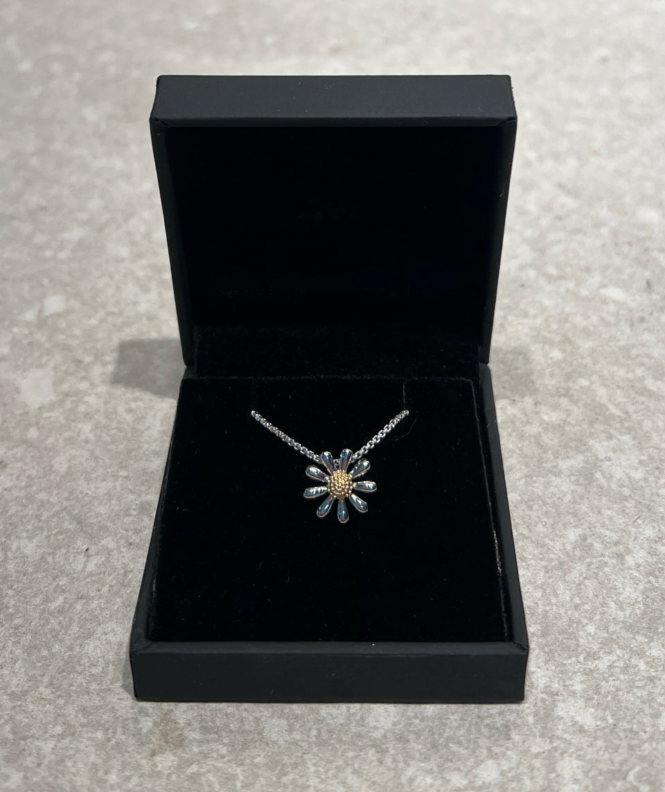 Paul Wright Sterling Necklace
