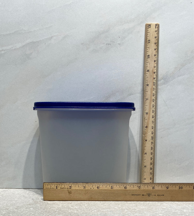 Tupperware Covered Container