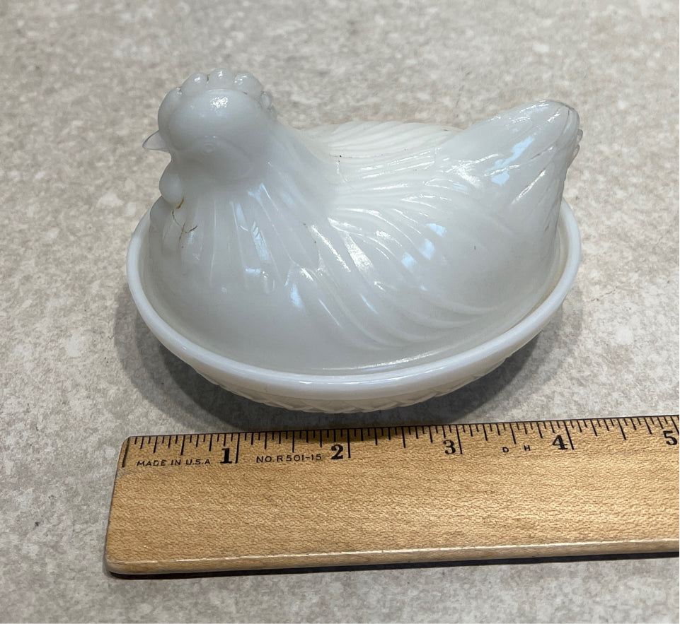 Hen on Nest