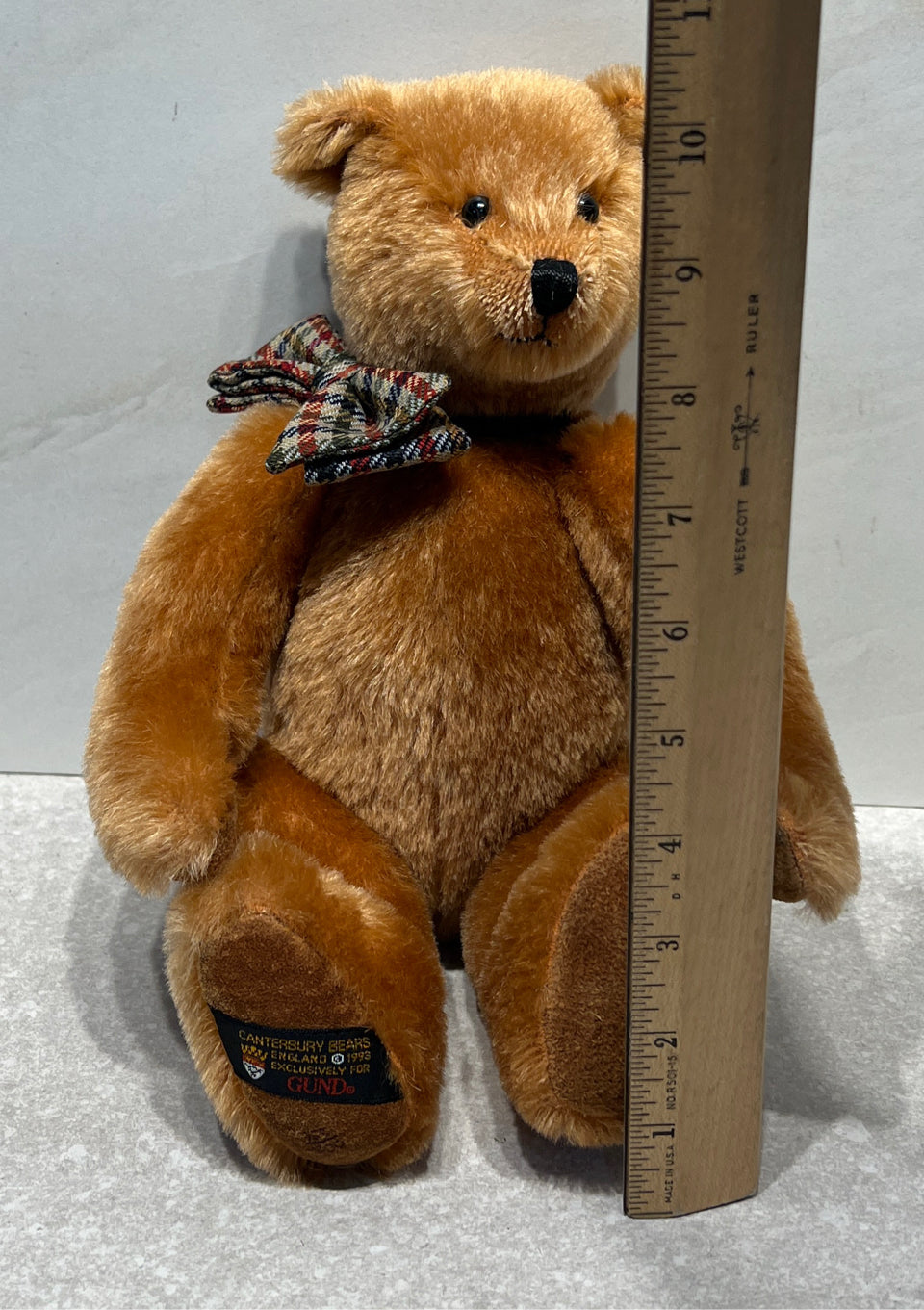 Canterbury Bear