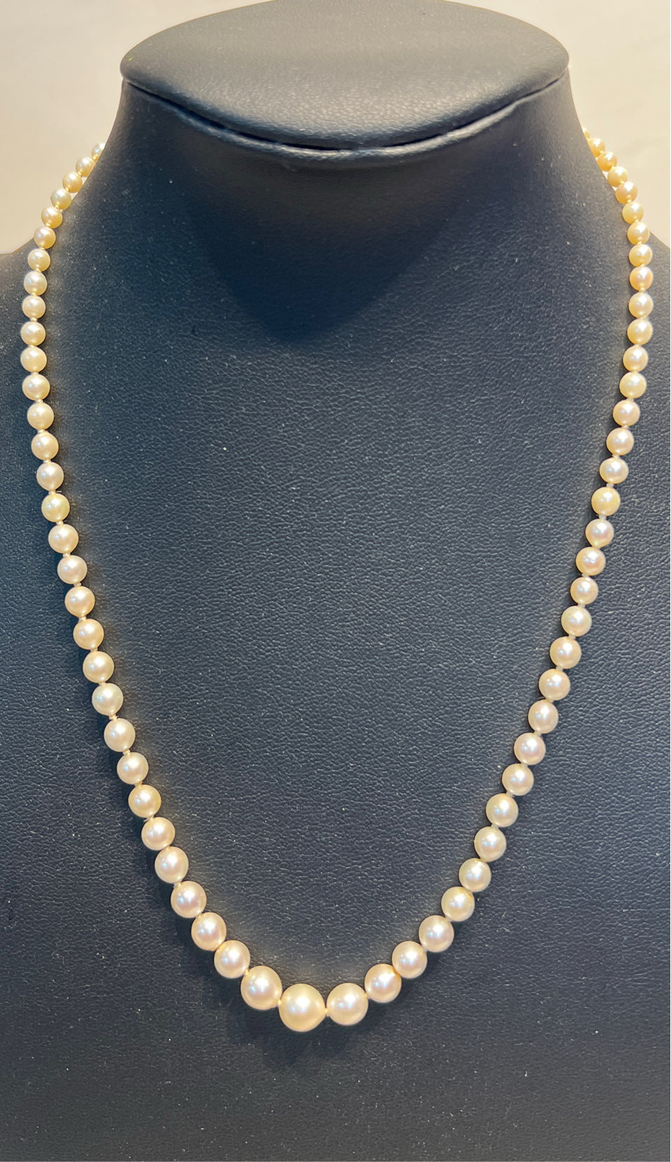 Gold Clasp Necklace