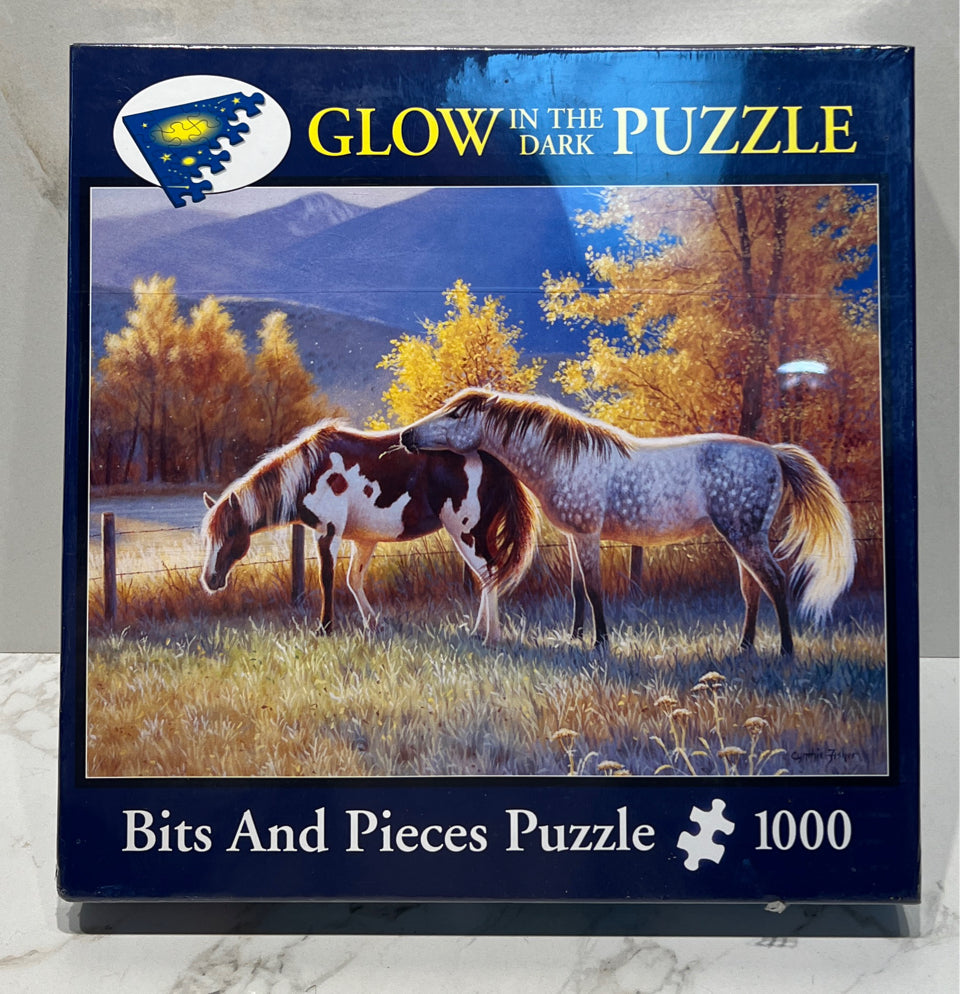Glow in the Dark Puzzle