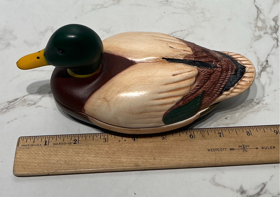 Covered Duck